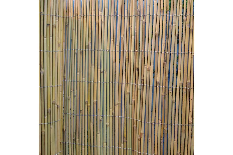 Bambus rørhegn i haven 2x5m - Hus & renovering - Indsynsbeskyttelse & indhegning - Stakit