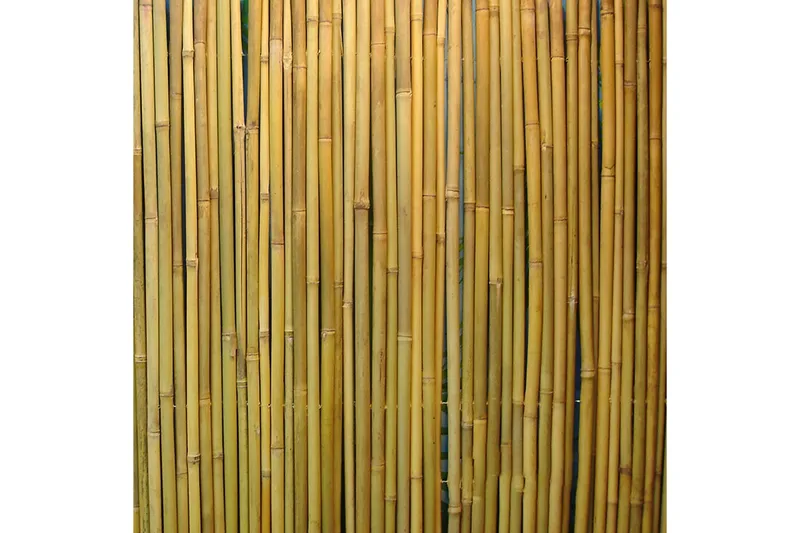Stanset bambushegn i haven 15x3m - Hus & renovering - Indsynsbeskyttelse & indhegning - Stakit