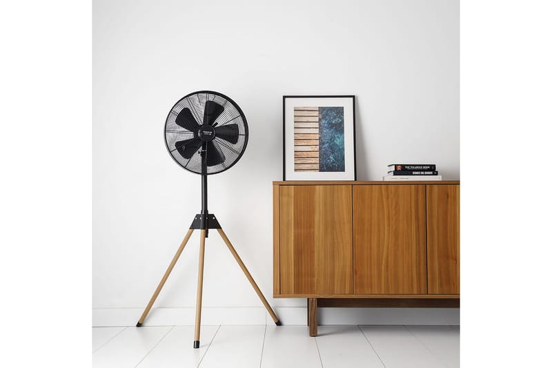 Standblæser Taurus Forest 5 Ventilatorblade Sort - Hus & renovering - Klimakontrol - Ventilatorer