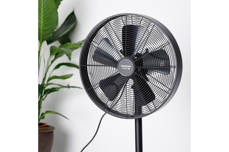 Standblæser Taurus Forest 5 Ventilatorblade Sort - Hus & renovering - Klimakontrol - Ventilatorer
