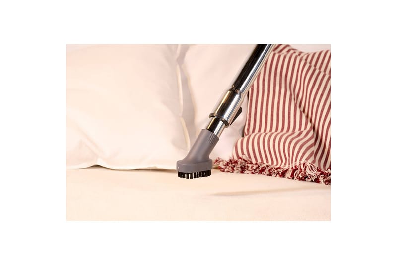 Støvsuger Solac More Brave Posefri 800W - Husholdning - Rengøring & tøjpleje - Støvsugere