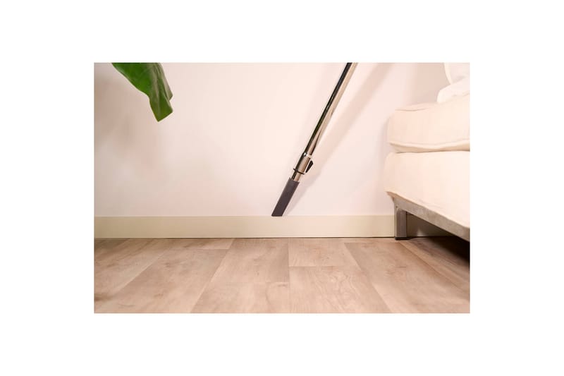 Støvsuger Solac More Brave Posefri 800W - Husholdning - Rengøring & tøjpleje - Støvsugere