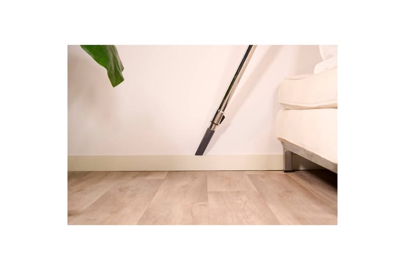 Støvsuger Solac More Brave Posefri 800W - Husholdning - Rengøring & tøjpleje - Støvsugere