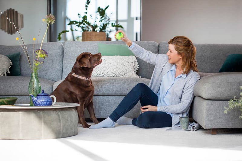 Tæpperens Bissell Revolution 2x ProHeat - Husholdning - Rengøring & tøjpleje - Støvsugere