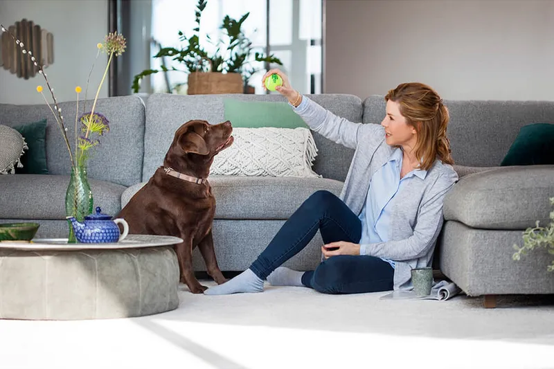 Tæpperens Bissell Revolution 2x ProHeat - Husholdning - Rengøring & tøjpleje - Støvsugere