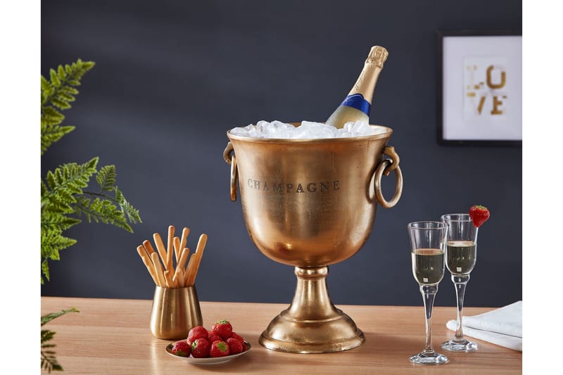 Ishink & Vinkylare Wohnling Guld - Husholdning - Bar & vin - Vintilbehør