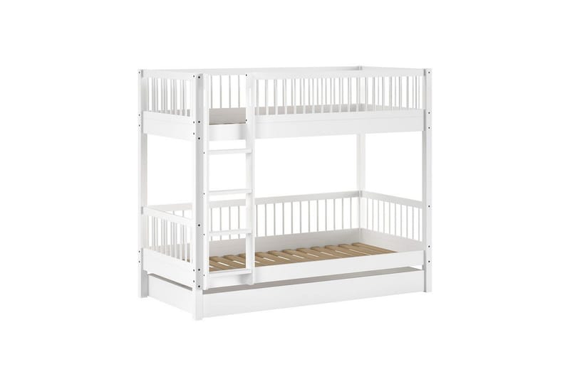 Køjeseng med skuffe Forrest Bøg - Bøg - Møbler - Børnemøbler - Børneseng & juniorseng - Køjeseng børn