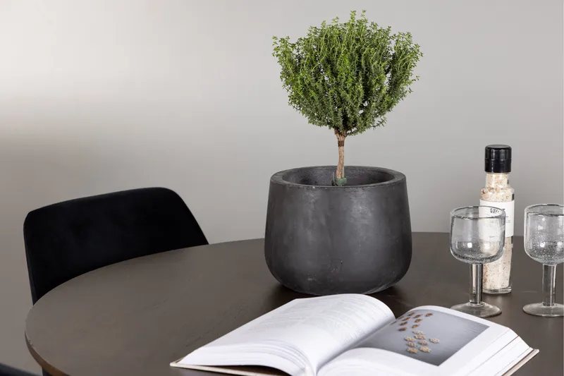 Kaseidon Spisebordssæt 100 cm Rund med 4 Night Stole - Svart - Møbler - Borde - Spisebordssæt