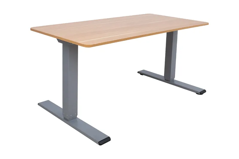 Ergo Optimal Skrivebord med 2 motor 160x80 cm Træ/Grå, undefined