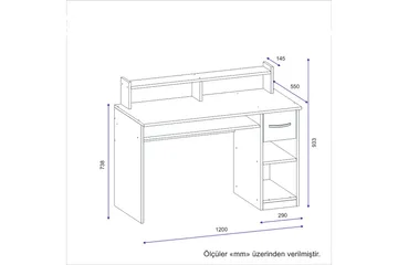 Yemisen Skrivebord 120 cm med Opbevaring Skuffe + Hylder - Antracit - Møbler - Borde - Kontorbord - Skrivebord