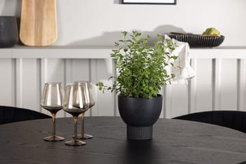 Olivia spisebord 110 cm rundt med 4 Selma spisebordsstole - Møbler - Borde - Spisebordssæt