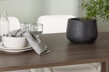 Oval matgrupp Venture Home Beige Natur 4st - Møbler - Borde - Spisebordssæt