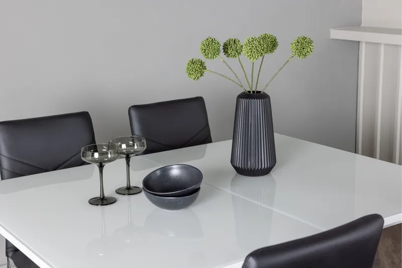 Pluto Spisebordssæt 120 cm Rektangulær med 4 Lily Stole - Svart - Møbler - Borde - Spisebordssæt