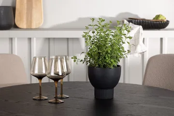 Rund matgrupp Venture Home Beige Svart 4st - Møbler - Borde - Spisebordssæt