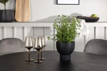 Rund matgrupp Venture Home Ljusgrå Svart 4st - Lysegrå og sort - Møbler - Borde - Spisebordssæt