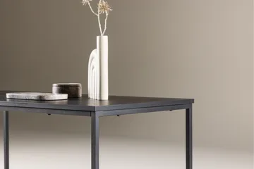 Mallan Rektangulært Sofabord 120x60 cm i Malet Træ - Sort - Møbler - Borde - Sofabord