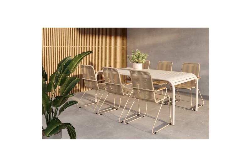 Spisegruppe Borneo, Bois, Beige, Beige, 6