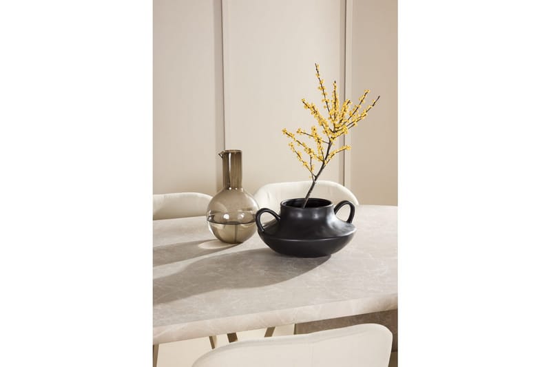 Spisegruppe Narvik 100x200 cm Beige med 6 stk Lilja Stole - Møbler - Borde - Spisebordssæt