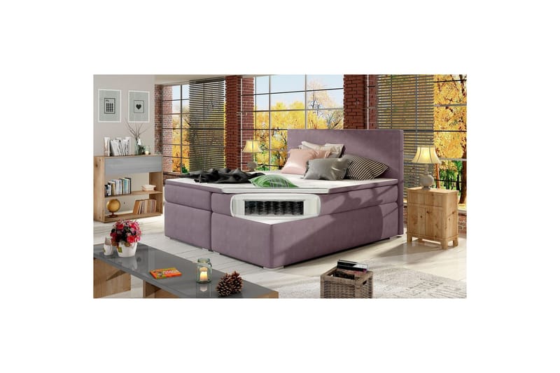 Box Spring Eltap Divalo - Soro 65, Pink, 160x200 cm - Møbler - Senge - Kontinentalsenge