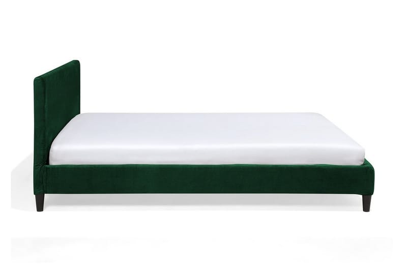 Fitou dobbeltseng 160 | 200 cm - Grøn - Boxmadras & boxseng