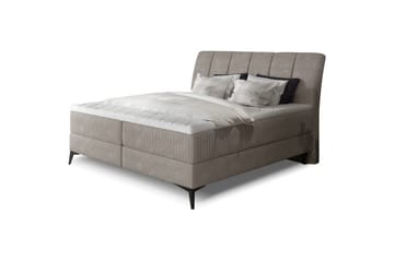 Boxmadras Eltap Aderito