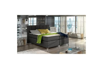 Boxmadras Eltap Basilio