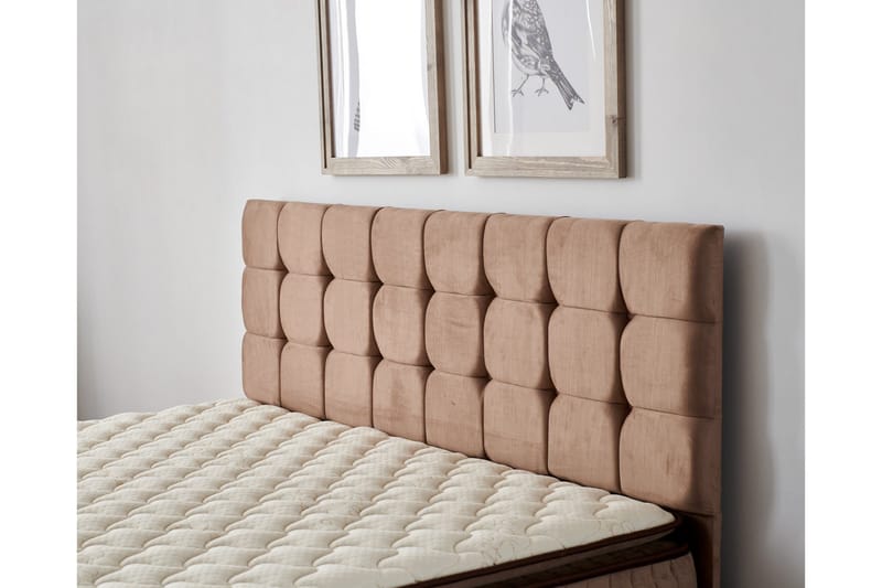 Latrona Kontinentalseng Dobbelt 180x200 cm - Lysebrun - Møbler - Senge - Kontinentalsenge