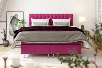 Celine Sengepakke 210x210cm - Pink / Velour - Møbler - Senge - Kontinentalsenge