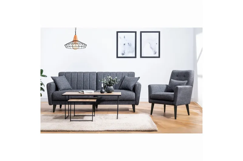 Arianda Sofagruppe, Antracit