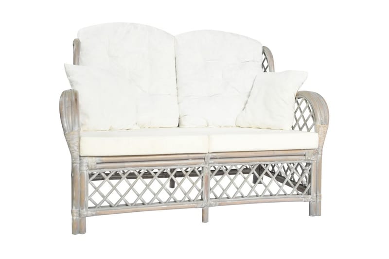 2-personers sofa rattan grå - Grå - Havemøbler - Loungemøbler - Loungesofaer