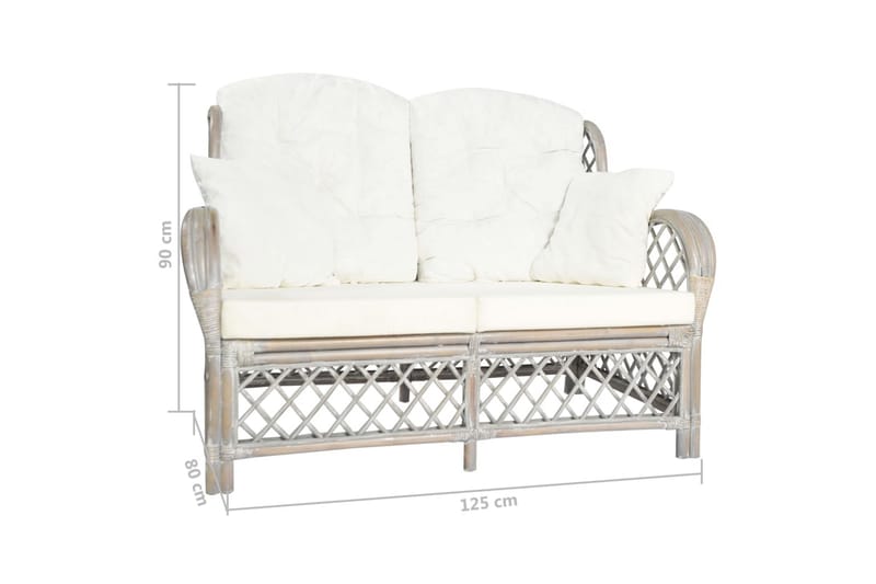 2-personers sofa rattan grå - Grå - Havemøbler - Loungemøbler - Loungesofaer
