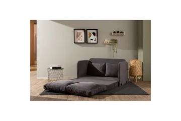 2-sæders sovesofa Rubby (128 x 70 x 66 cm) Grå - Grå - Møbler - Sofaer - Sovesofaer