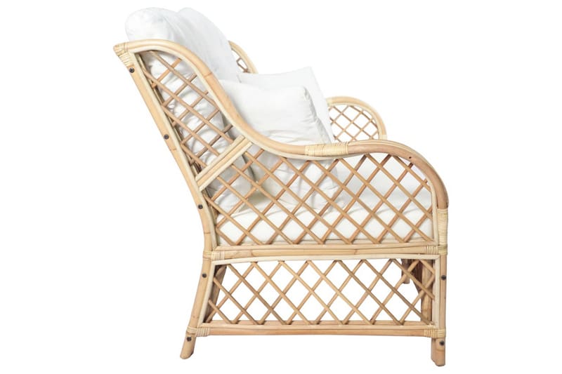 2-personers sofa rattan - Havemøbler - Loungemøbler - Loungesofaer