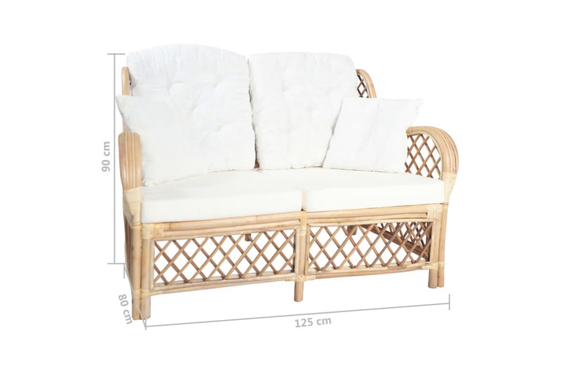 2-personers sofa rattan - Havemøbler - Loungemøbler - Loungesofaer