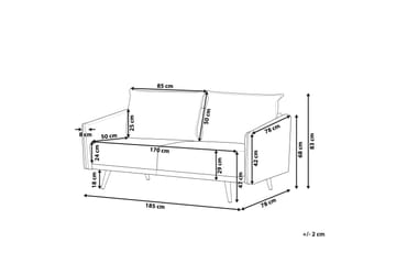 Maurana 3-personers Fløjlssofa med Metalben - Grå - Møbler - Sofaer - 3 personers sofa