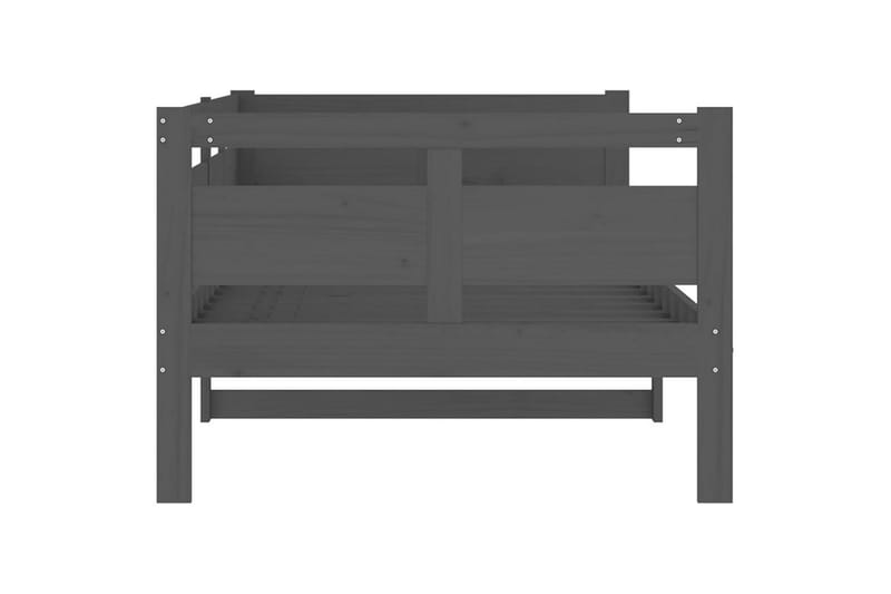 beBasic daybed 90x200 cm massivt fyrretræ grå - GrÃ¥ - Daybed