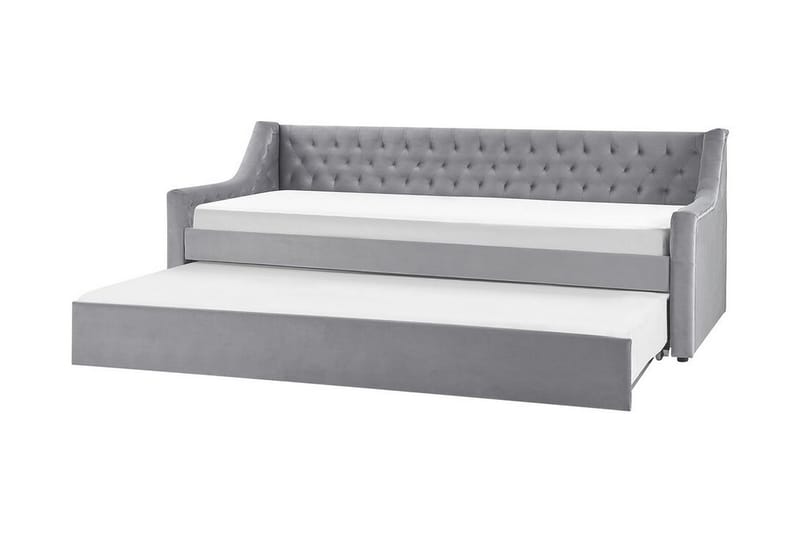 Daybed 90 x 200 cm Velour grå MONTARGIS - Grå - Daybed