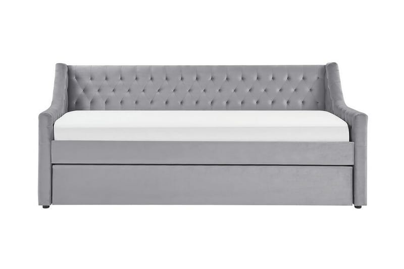 Daybed 90 x 200 cm Velour grå MONTARGIS, Grå