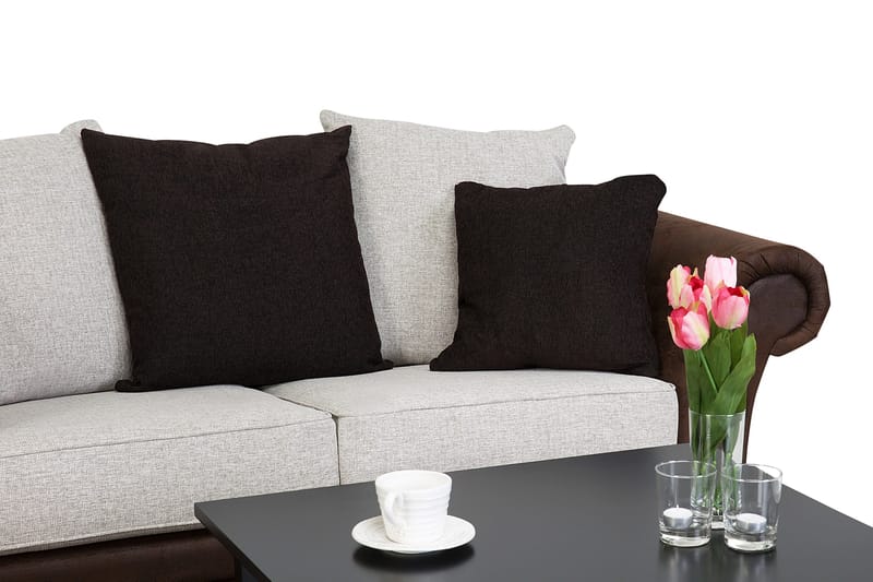 Toronto 2-pers Sofa - Brun/Beige - Møbler - Sofaer - Lædersofaer