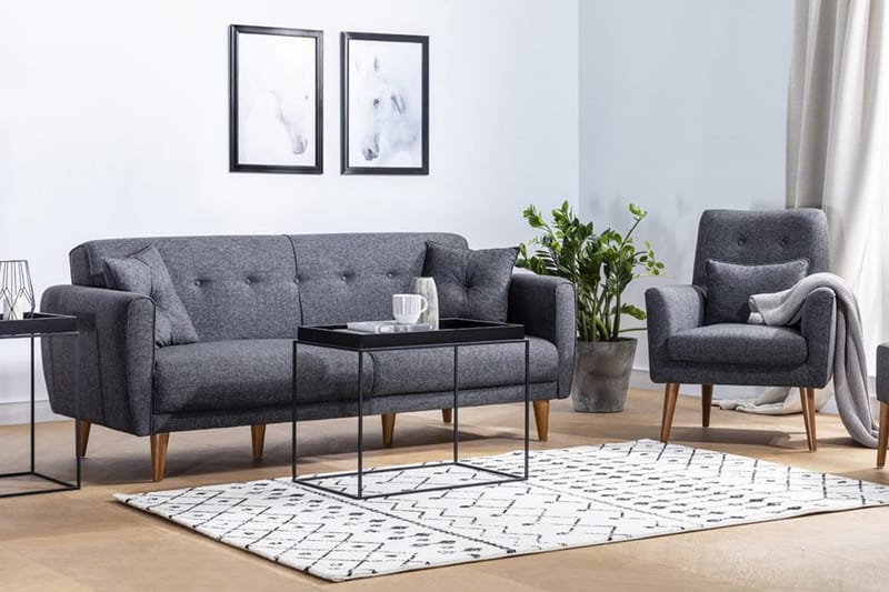 Arianda Sofagruppe, Antracit