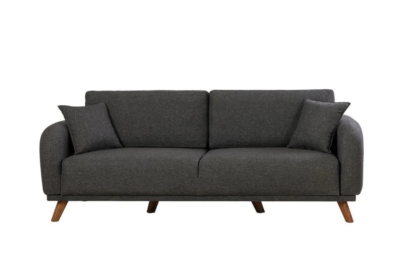 Malkiat Sovesofa, Antracit