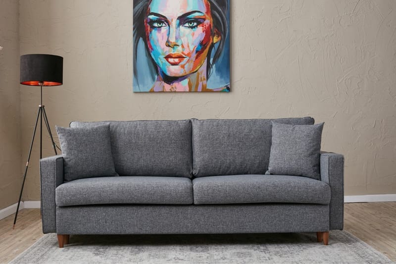 Braneles Sovesofa 3-personer - Grå - Møbler - Sofaer - Sovesofaer