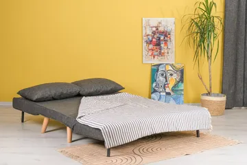 Daigo Lille 2-sæders Sovesofa med Fremadudtræk 120x180 cm i Stof - Grå - Møbler - Sofaer - Sovesofaer