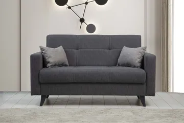 Darcia 2-personers Sovesofa 55x125 cm med Opbevaring i Stof - Antracit - Møbler - Sofaer - Sovesofaer