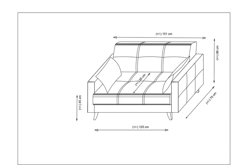 Darcia 2-personers Sovesofa 55x125 cm med Opbevaring i Stof - Antracit - Møbler - Sofaer - Sovesofaer