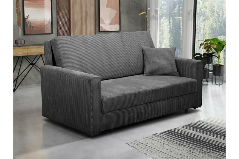 Denegal 2-personers Sovesofa - Mørkegrå - Møbler - Sofaer - Sovesofaer