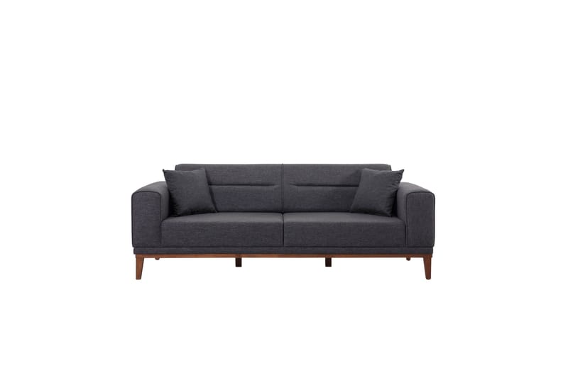 Wyong Sovesofa 3-personers 223x94 cm, Antracit