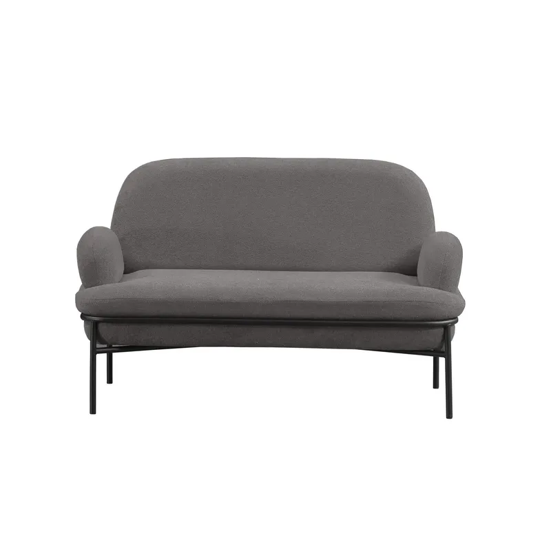 Zyricus 2-personers sofa Teddy, Grå