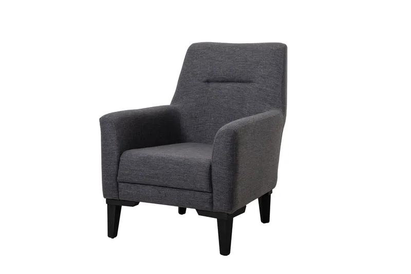 Wyong Lænestol, Antracit