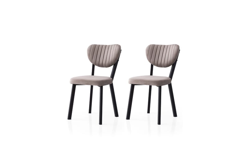 Dhaniya Spisestol, Sort